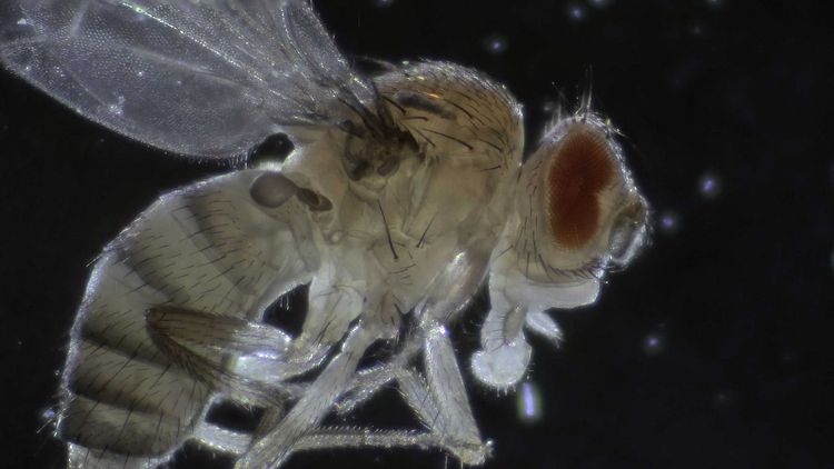 Vegyésztechnikus osztály tanulmányi kirándulása