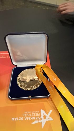 Lévai Ramón 13.C osztályos tanuló